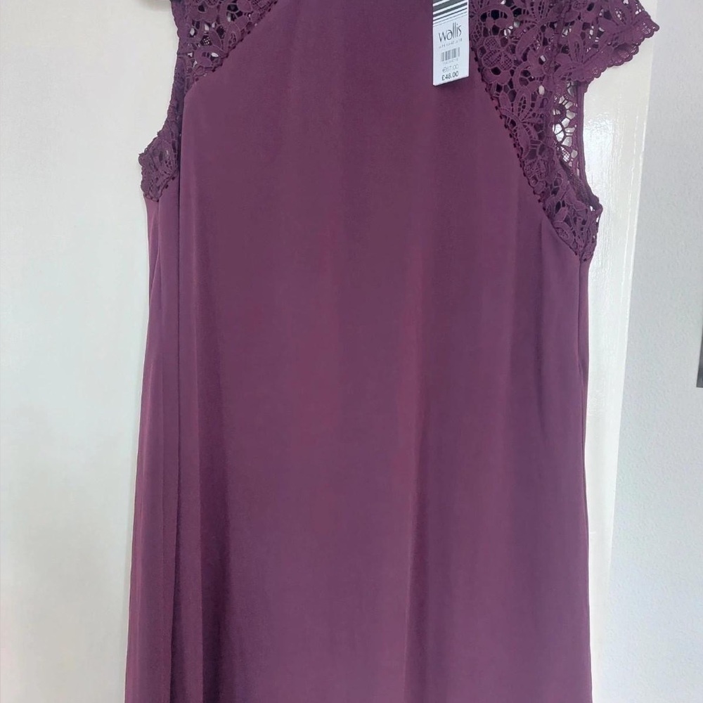 Wallis Plum Dress with Crochet Detail